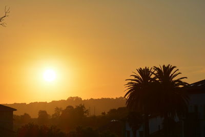 Silhouette trees against orange sky