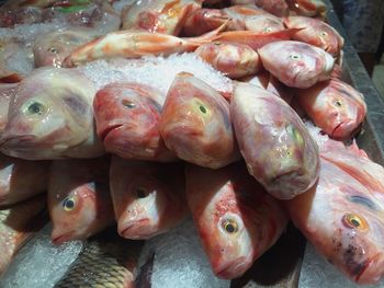 Close-up of fish for sale in market