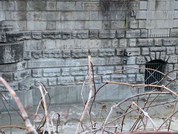 Abandoned building against wall