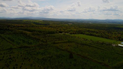 Scenic view of vineyard against sky