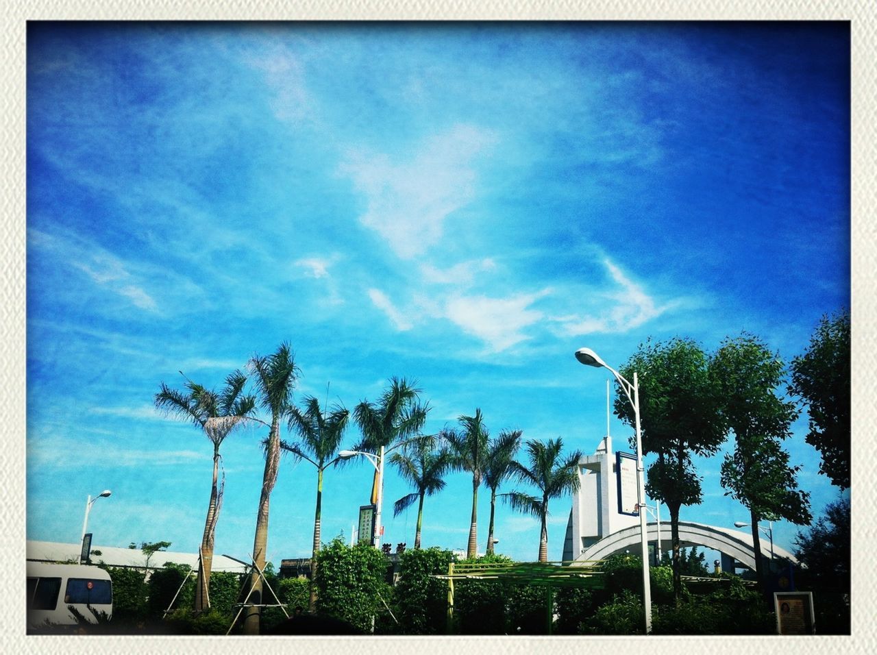 tree, transfer print, sky, low angle view, auto post production filter, palm tree, blue, building exterior, built structure, cloud - sky, architecture, cloud, street light, cloudy, growth, outdoors, nature, day, no people, road sign