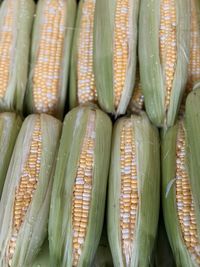 Full frame shot of corns