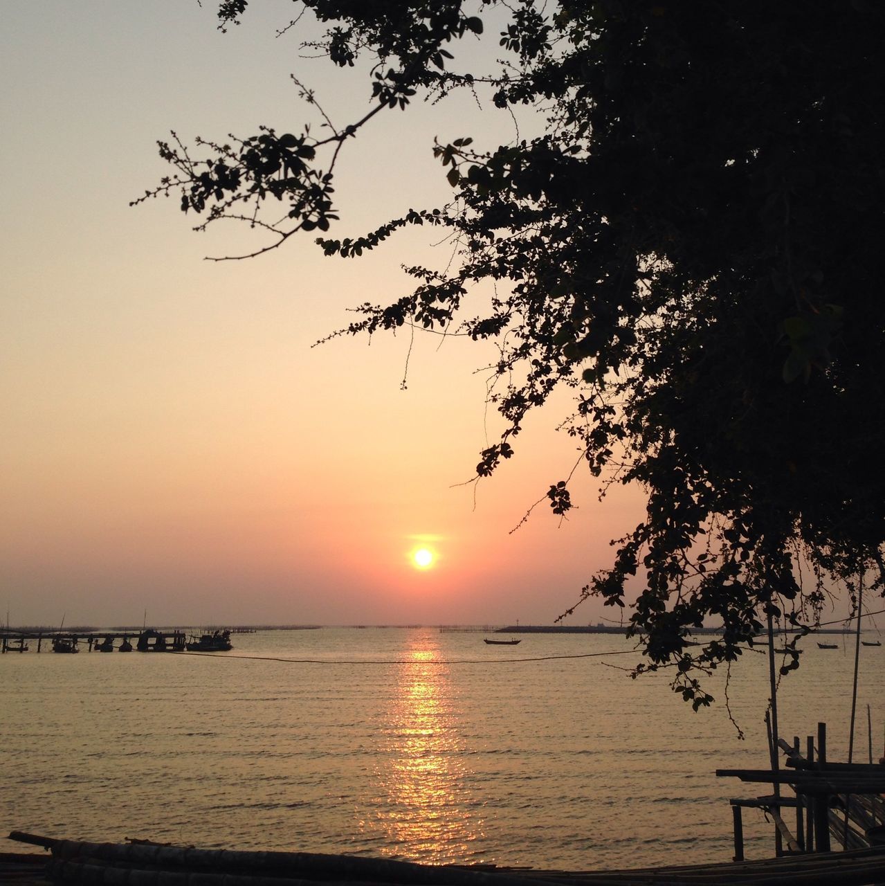 sunset, water, sea, horizon over water, tranquil scene, scenics, tranquility, sun, beauty in nature, silhouette, nature, orange color, idyllic, tree, sky, beach, reflection, sunlight, outdoors, clear sky