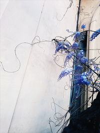 Low angle view of built structure