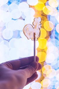 Close-up of hand holding rooster lollipop