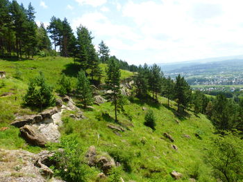 Scenic view of trees and mountains against sky