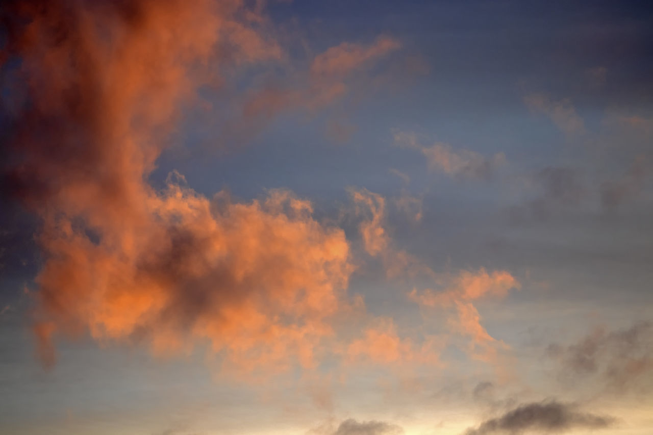 LOW ANGLE VIEW OF ORANGE SKY