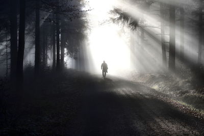 Silhouette person walking on road in forest