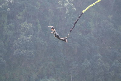 Person paragliding against tree