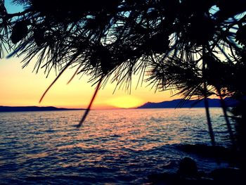 Silhouette tree by sea against sky during sunset