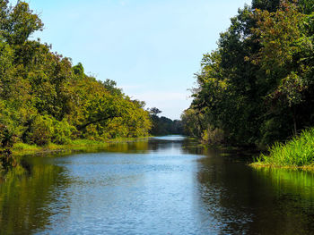 River amidst trees in forest against sky