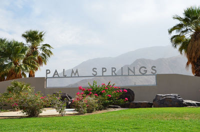 View of palm trees against cloudy sky