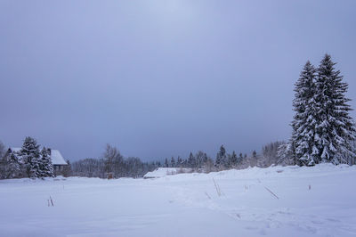 Trees on snow covered field against sky