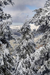 Scenic view of snowcapped mountain against sky