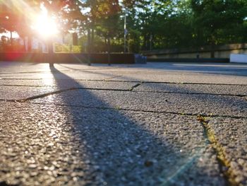 Surface level of footpath by trees on sunny day