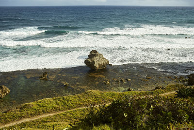 Scenic view of sea