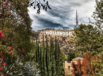 Trees and plants against sky in city