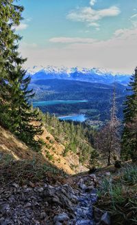 Scenic view of waterfall in forest against sky