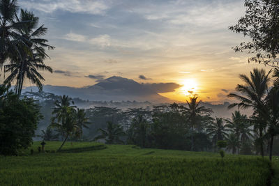 Scenic view of field against sky during sunset