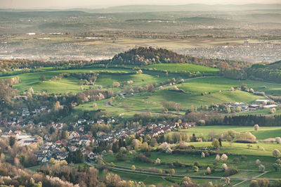 Scenic view of agricultural field