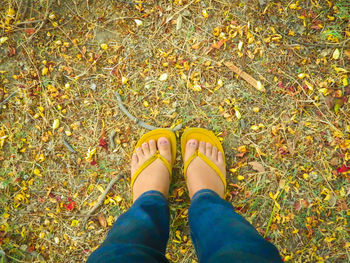 Low section of person standing in park