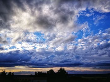 Low angle view of silhouette trees against sky