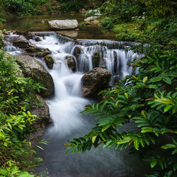 Scenic view of waterfall in forest