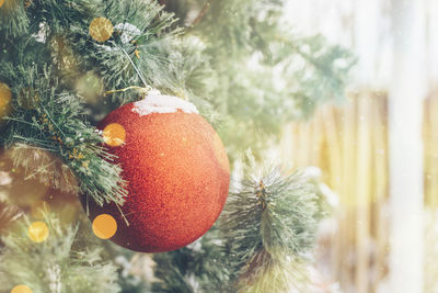 Close-up of christmas tree