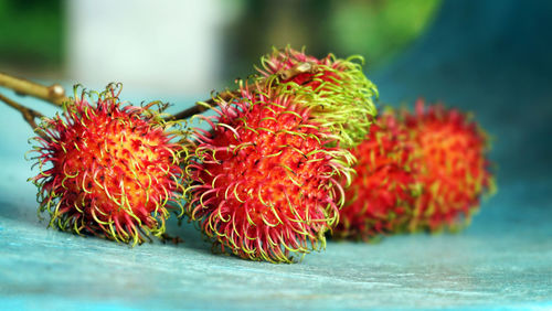Close-up of red fruit on table