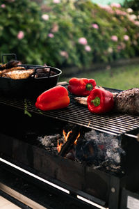 Close-up of meat on barbecue grill