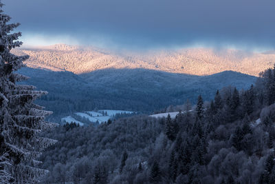 High angle view of trees on landscape against sky