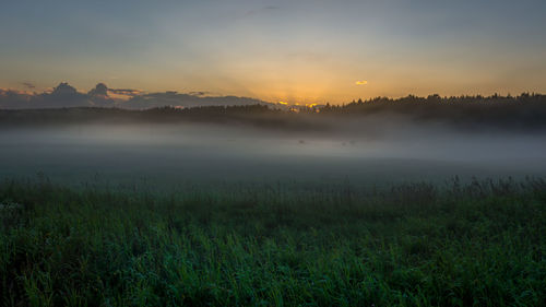 Scenic view of landscape against orange sky