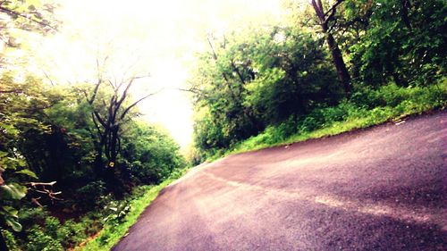 Scenic view of trees