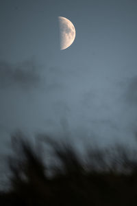 moon