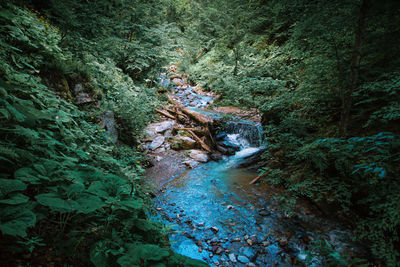 High angle view of waterfall amidst trees in forest