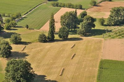 Fields in dordogne