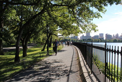 Footpath amidst trees in park against sky