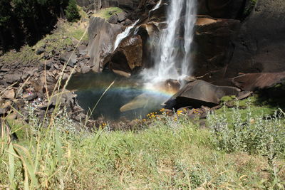 Scenic view of waterfall