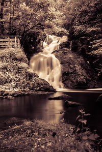 Scenic view of waterfall