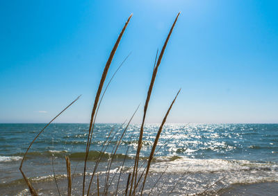 Scenic view of sea against blue sky