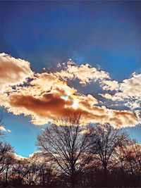Low angle view of bare trees against sky