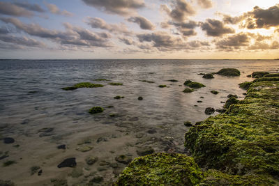 Scenic view of sea against sky during sunset