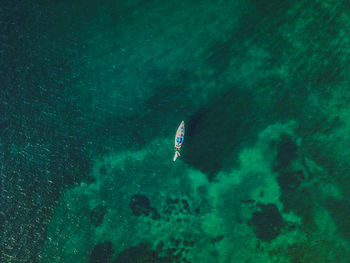 People swimming in sea