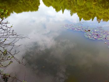 Reflection of trees in lake