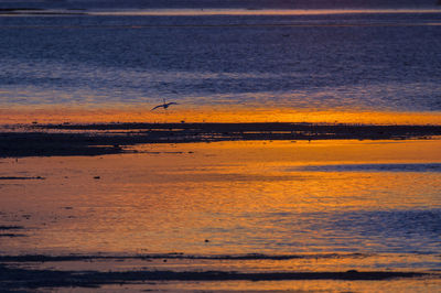 Scenic view of sea against orange sky