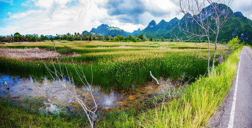 Panoramic view of field and lake against sky