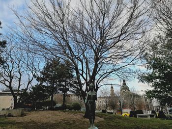 Trees against sky