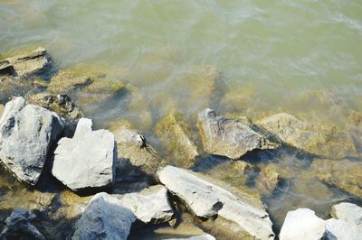 High angle view of rocks in water