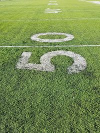 High angle view of 50 yard line green grass