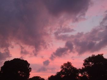 Low angle view of trees against cloudy sky